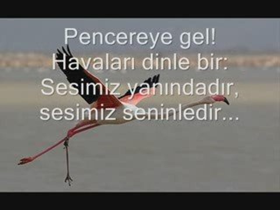Bence Artık Sende Herkes Gibisin Nazım Hikmet