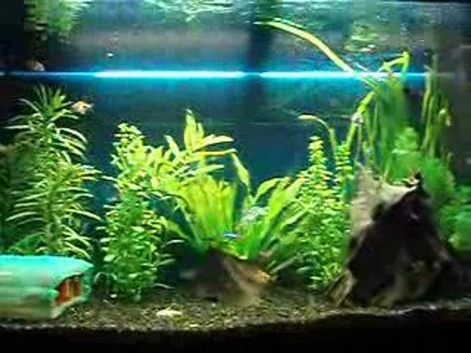 Aquarium Rio 125