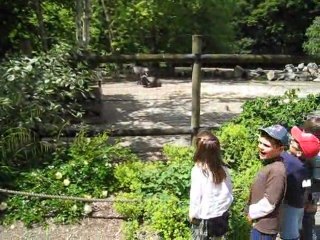 chasse au trésor des écoliers de Giencourt au zoo d'Amiens