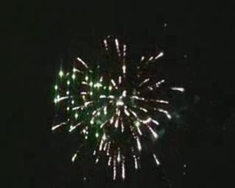 Compact Hevea bulgare Assortie 20 Coups