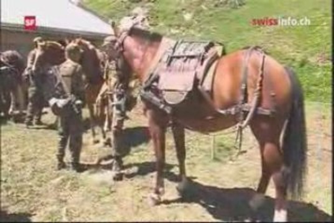 Packhorse soldiers
