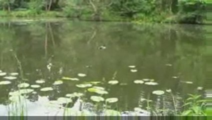 Утиное озеро