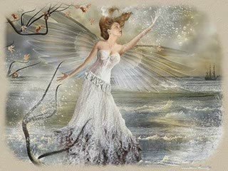 LIDER_Zaczarowany Swiat ...