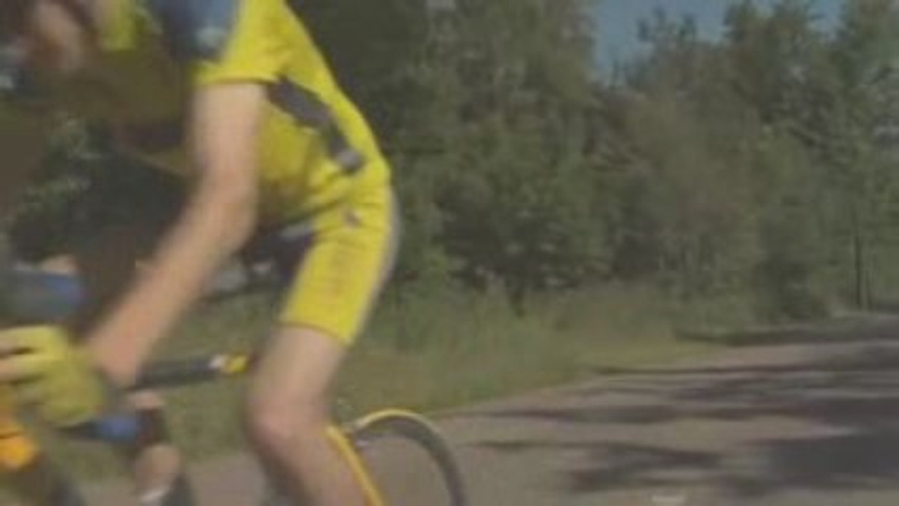 lapin crétin