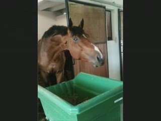 Mes Collègues de taf!