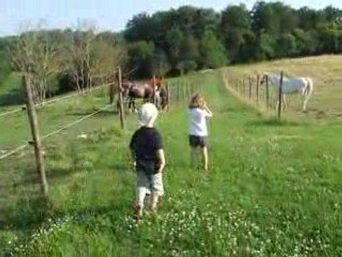 Remise au prés Queen