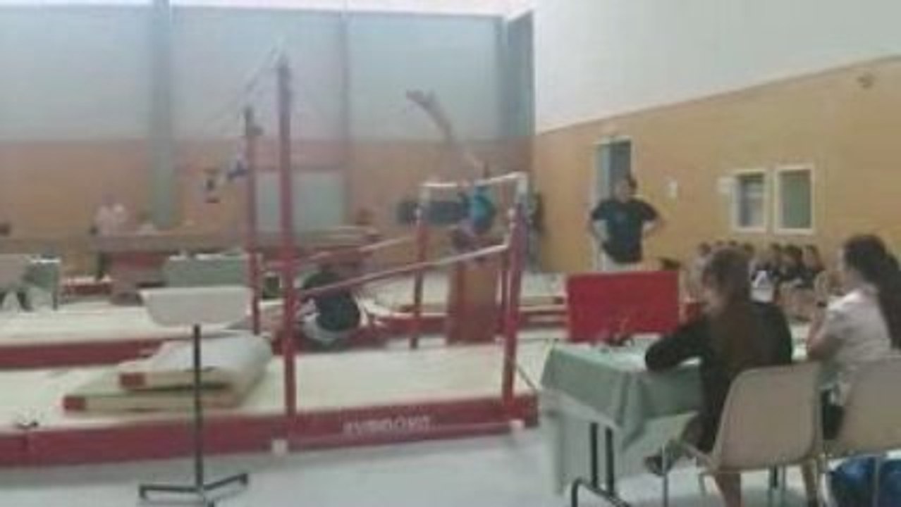 Barres Lisa