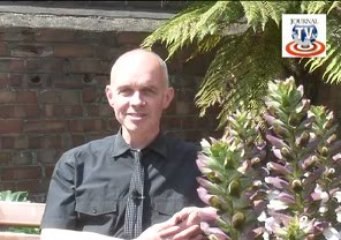 Grantham Journal Sports Bulletin - June 26, 2009