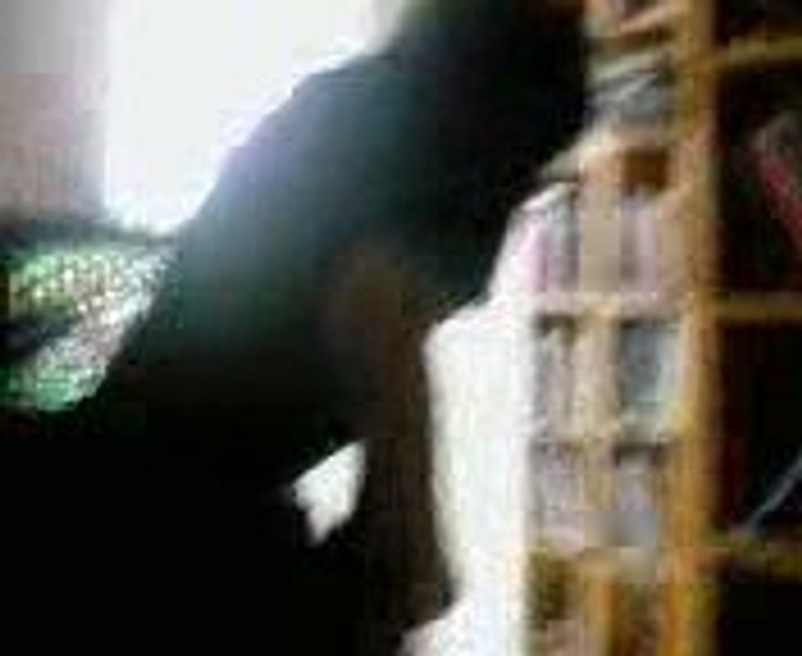 Hotel California Expert de chez Expert et fou Sur GuitarHero