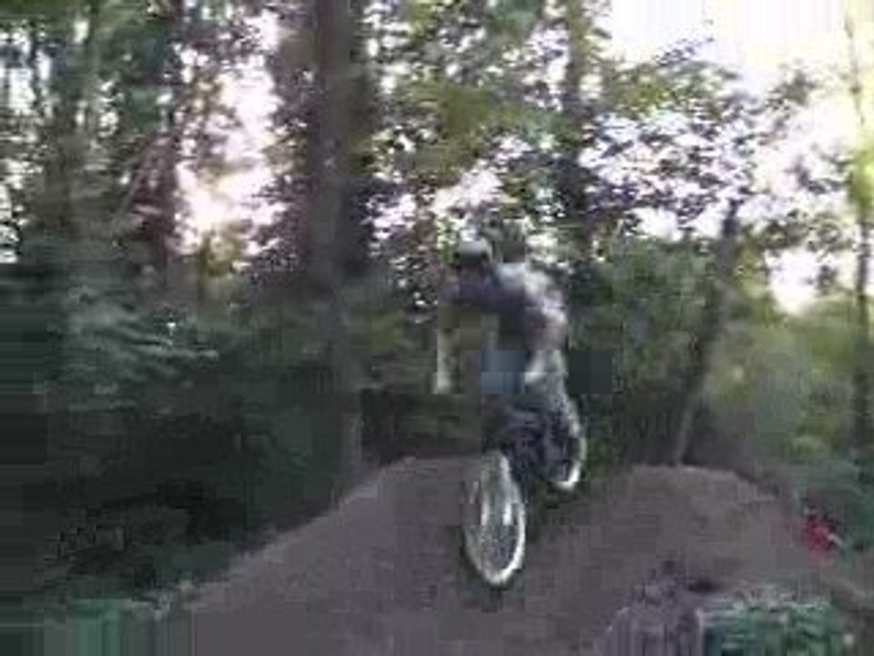 flip au revival trail