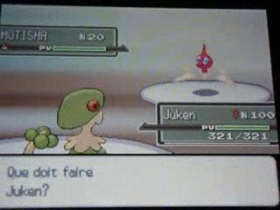 Appariton Motisma Shiney