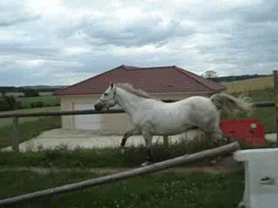 Cooga saut en liberté