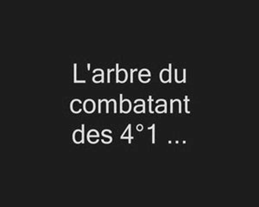L'arbre du combattant