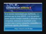 Ganancias con Adwords