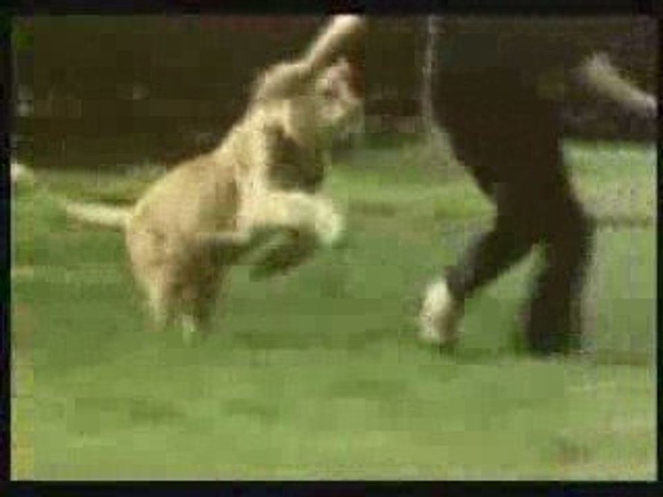 МЫ  В  ОТВЕТЕ  ЗА  ТЕХ  КОГО  ПРИРУЧИЛИ