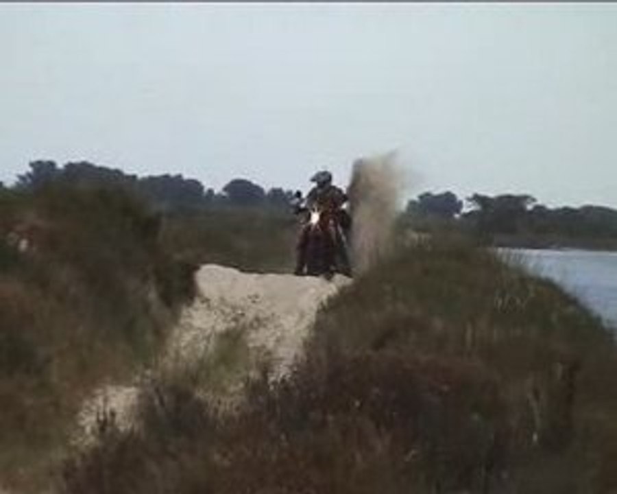 La Camarguaise...le retour