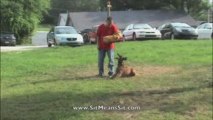 Sit Means Sit-Alpharetta Dog Training - Protection Call Offs