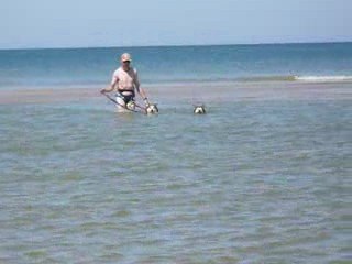 On a notre Brevet de Natation