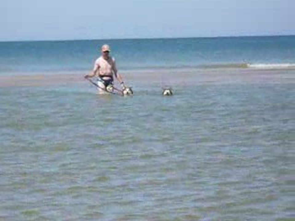 On a notre Brevet de Natation