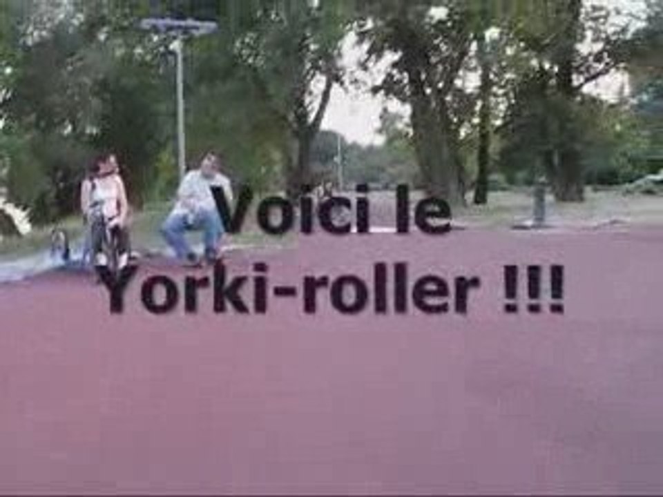 Yorki roller