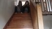 glissade escaliers
