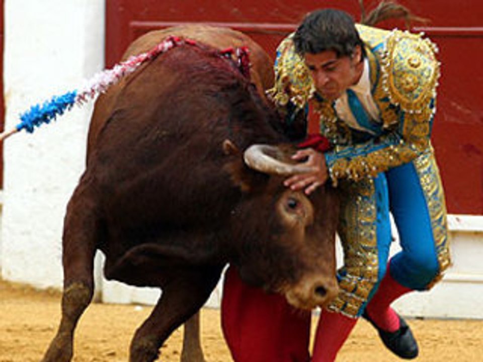 Alicante, 26 de junio