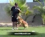 Police Dog Trainers School