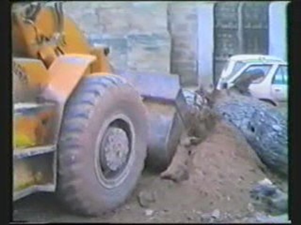 Cambio de Arbol en San Miguel,1990