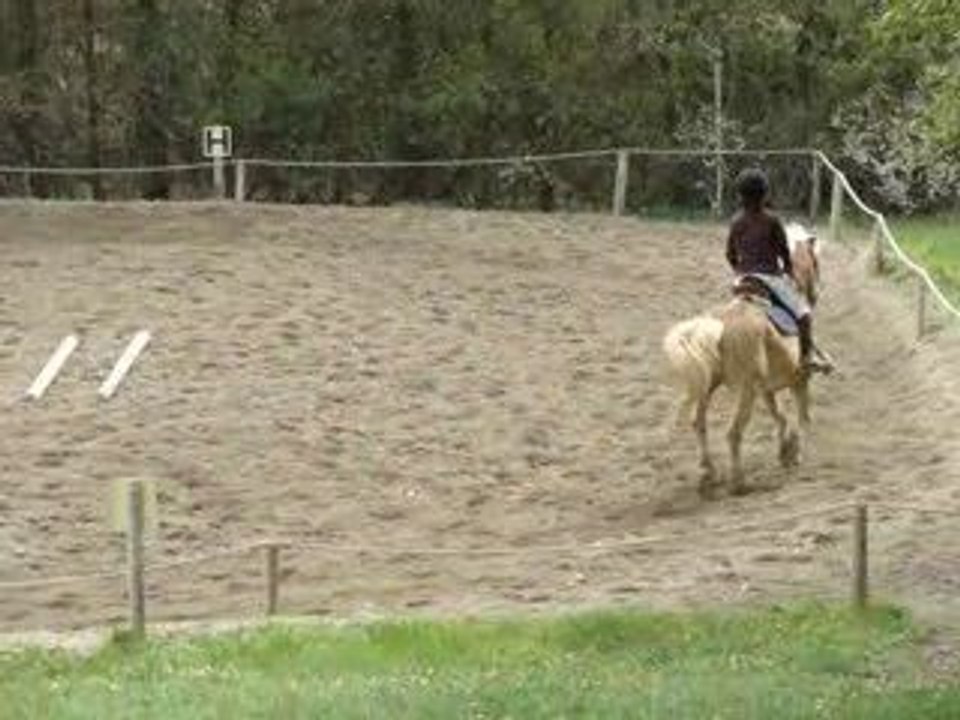 un cercle avec flash au trot