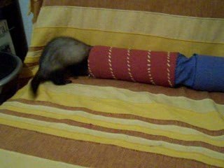 Fripouille et Khéla 3