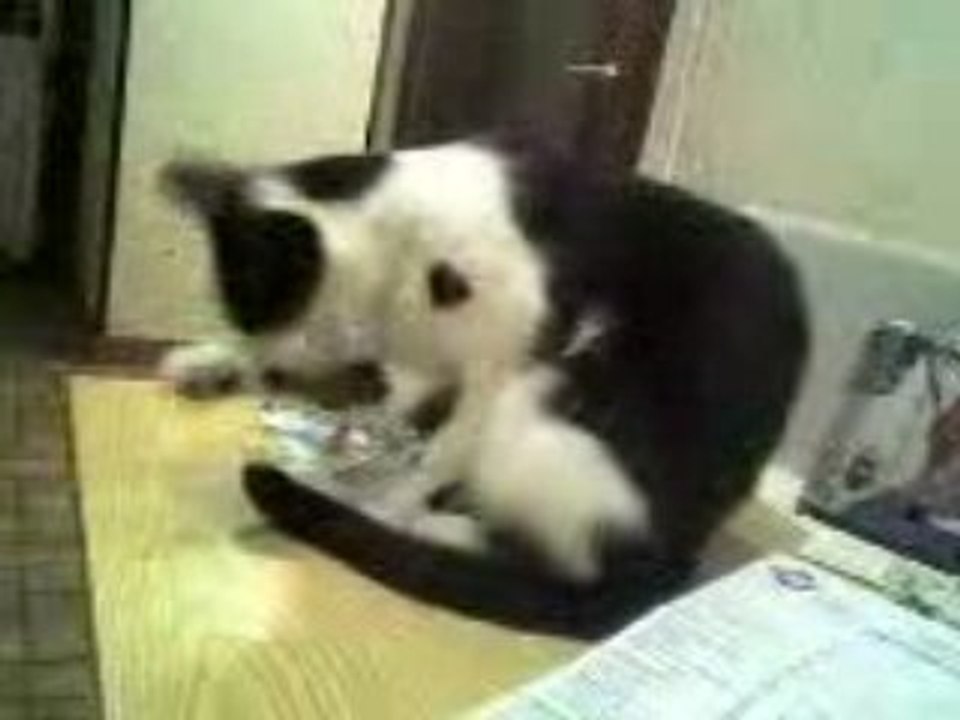 piloulite se toilette