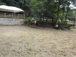 galop à gauche Little Fly