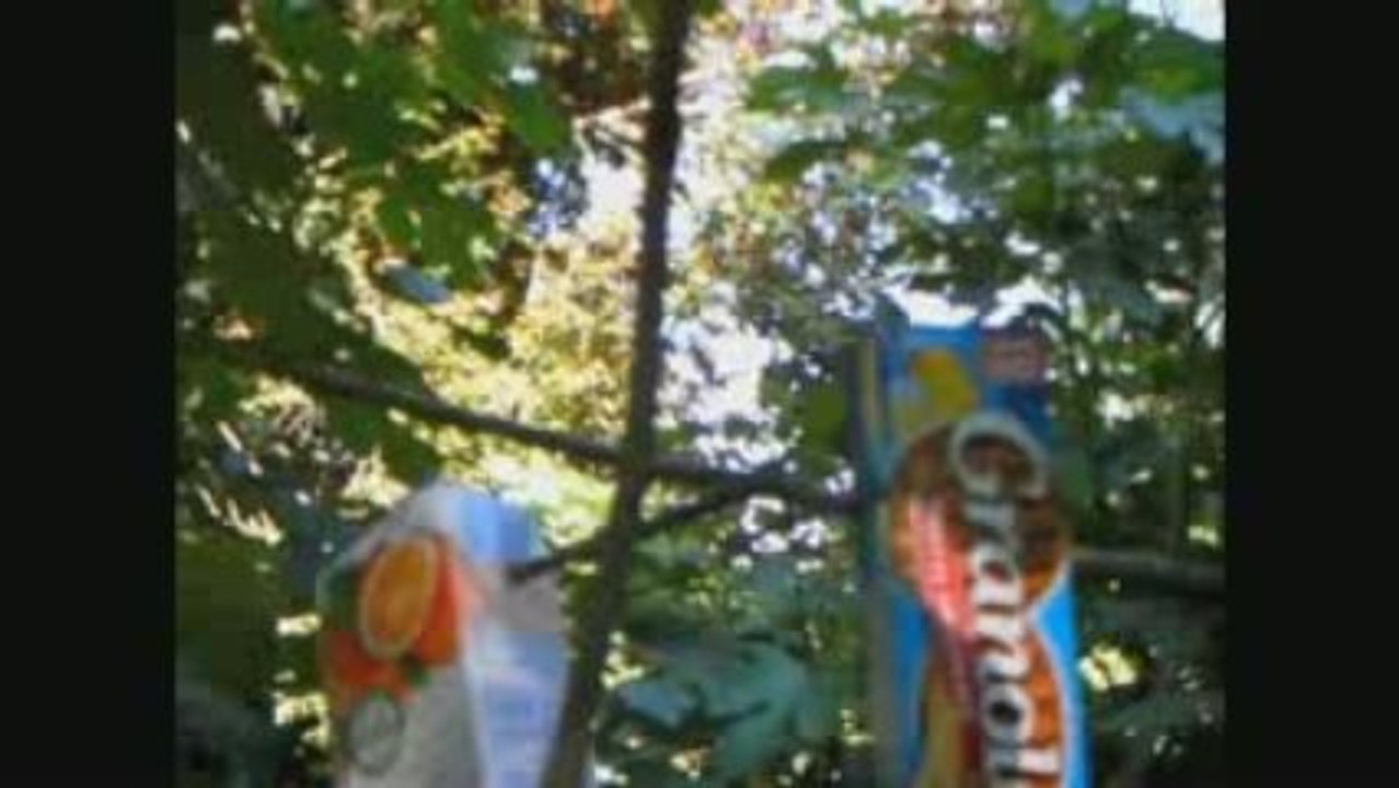 scoutrangueilfilm2