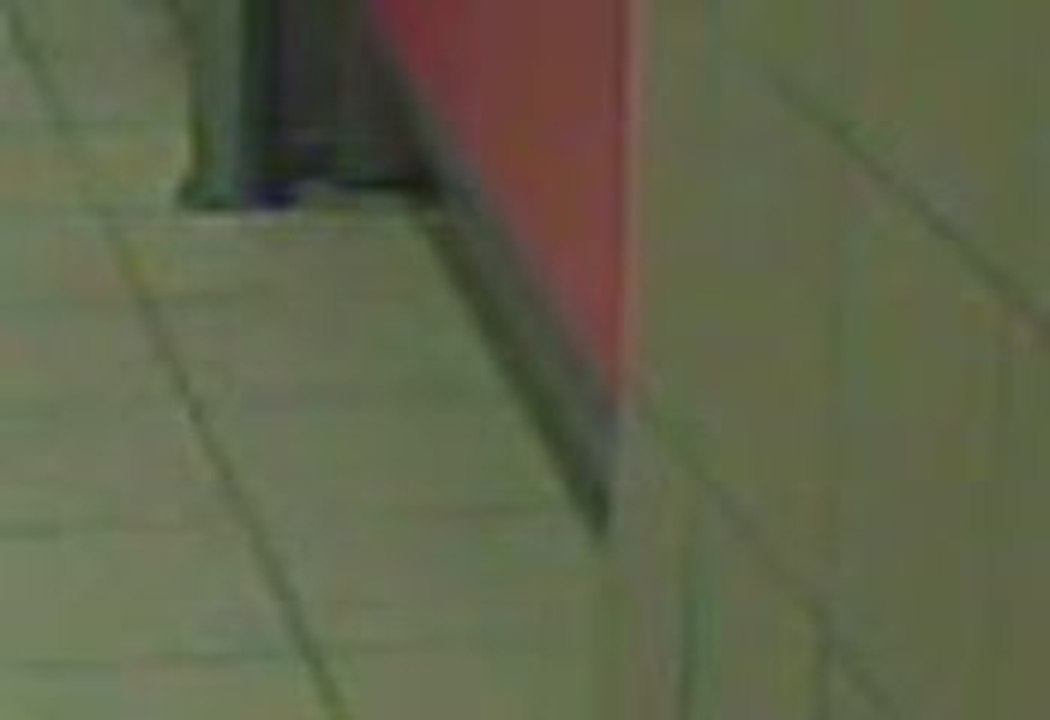 souris fast food quick Paris degoutant sale choquant choc