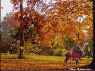 Mówili na nią słońce