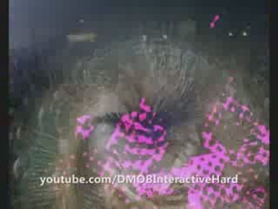 dvd Noize Suppressor - Hardcore junky '09  3 /4