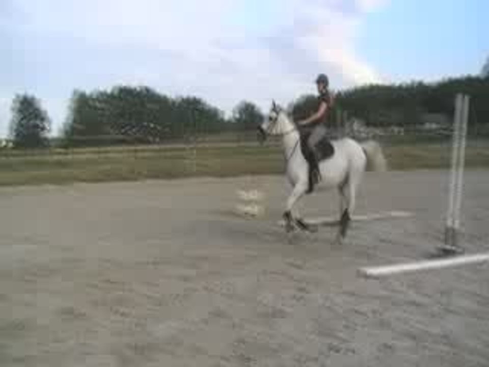 Claire vertical 1m