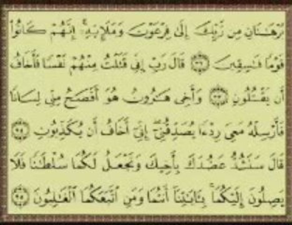 سلسلة التاريخ الإسلامي 3