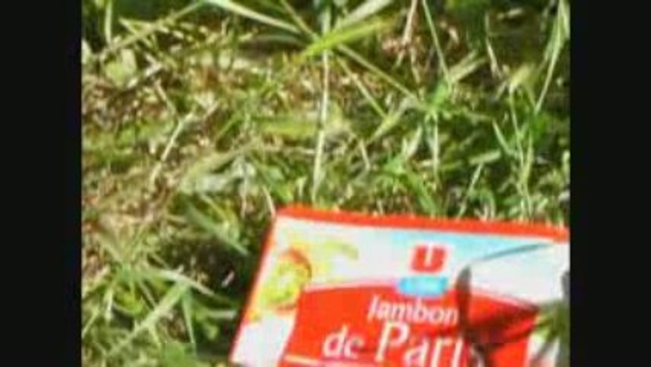 scoutrangueilfilm4