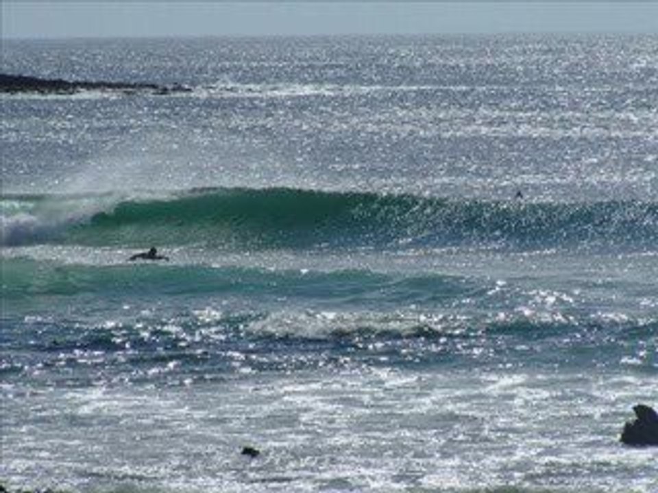 surf portugal