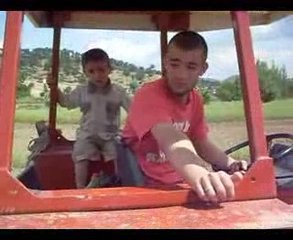 değirmendere tütün dikimi