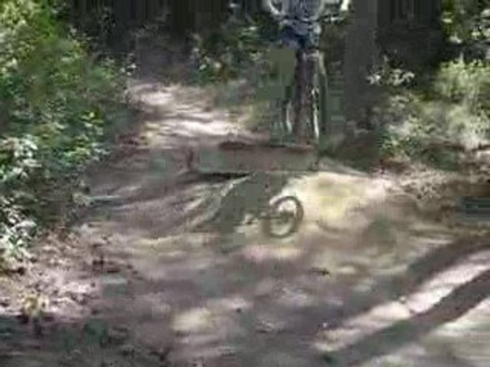 freeride débutant