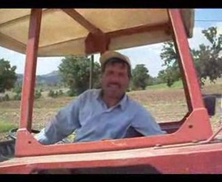 değirmendere tütün dikimi 2