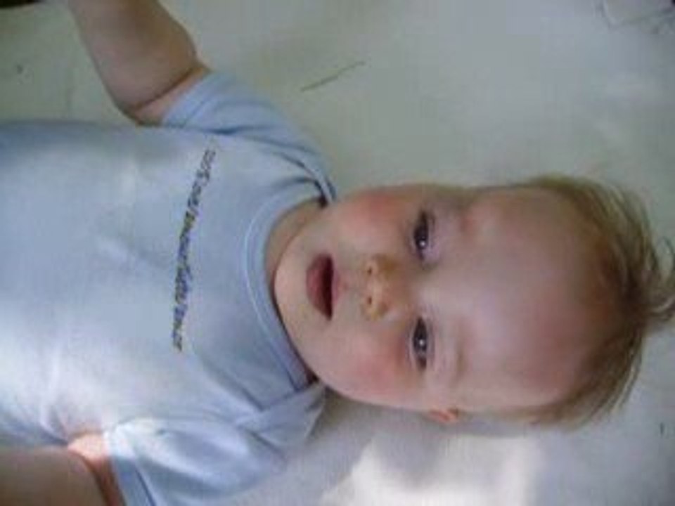 Gazouillis... ou cris...