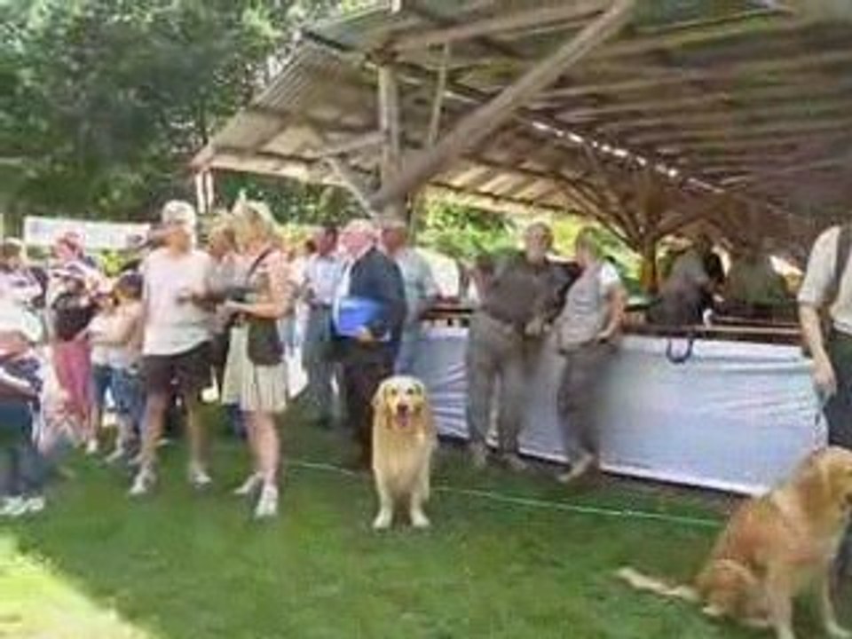 Démonstrations de nos retrievers