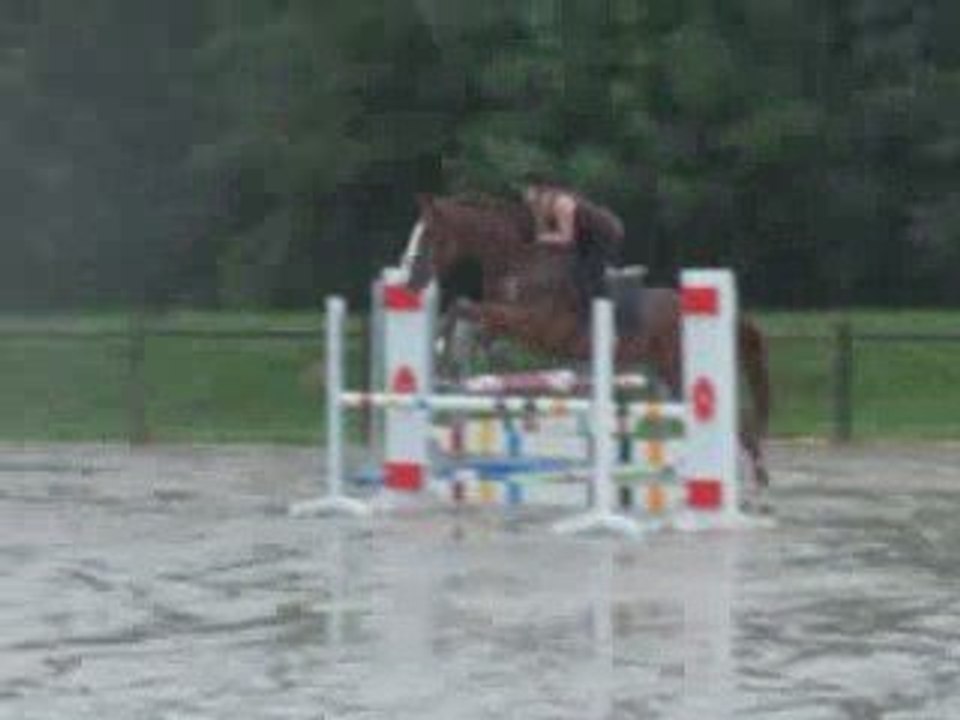 Stage d'obstacle avec André Bonneau