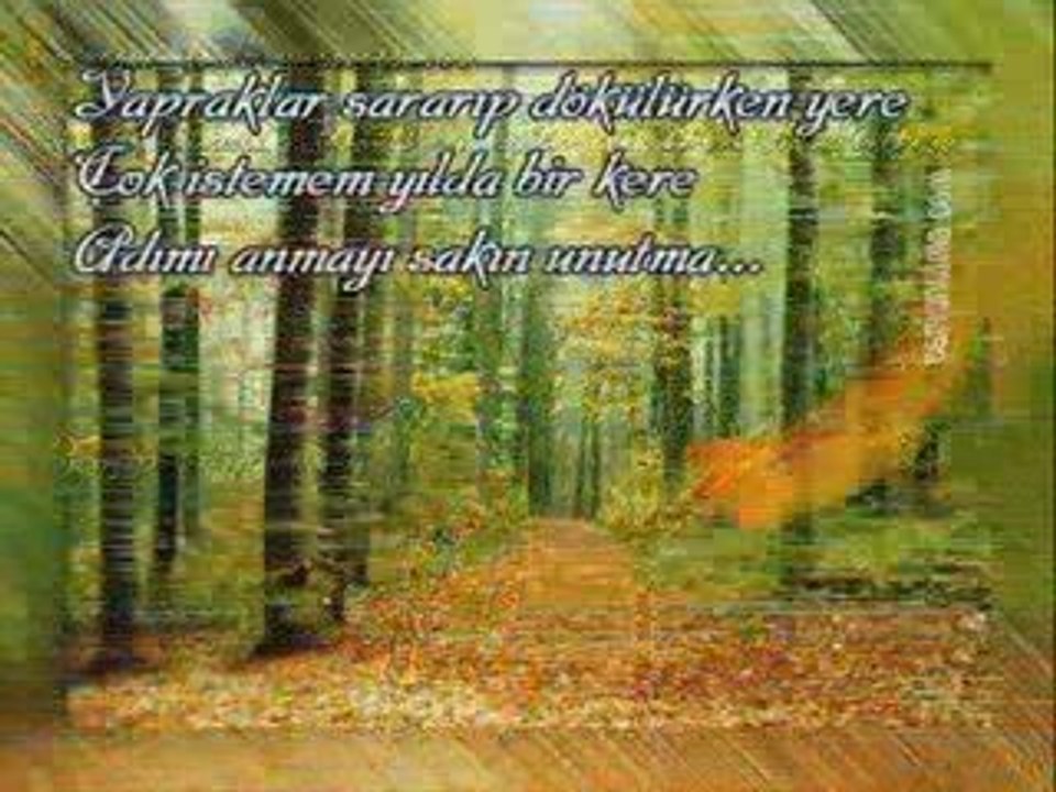 Tanju  Okan - Hasret