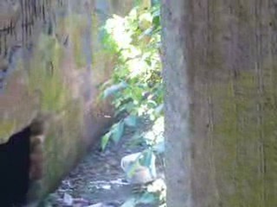 Airsoft 27 juin 2009 1