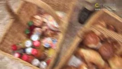 Meierhofer's Gipfeli-Kurier GmbH, Dietikon; Znüni und ...