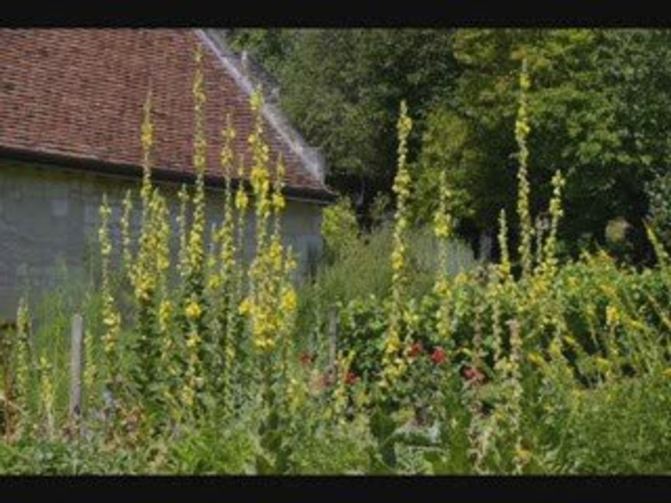 La Devinière